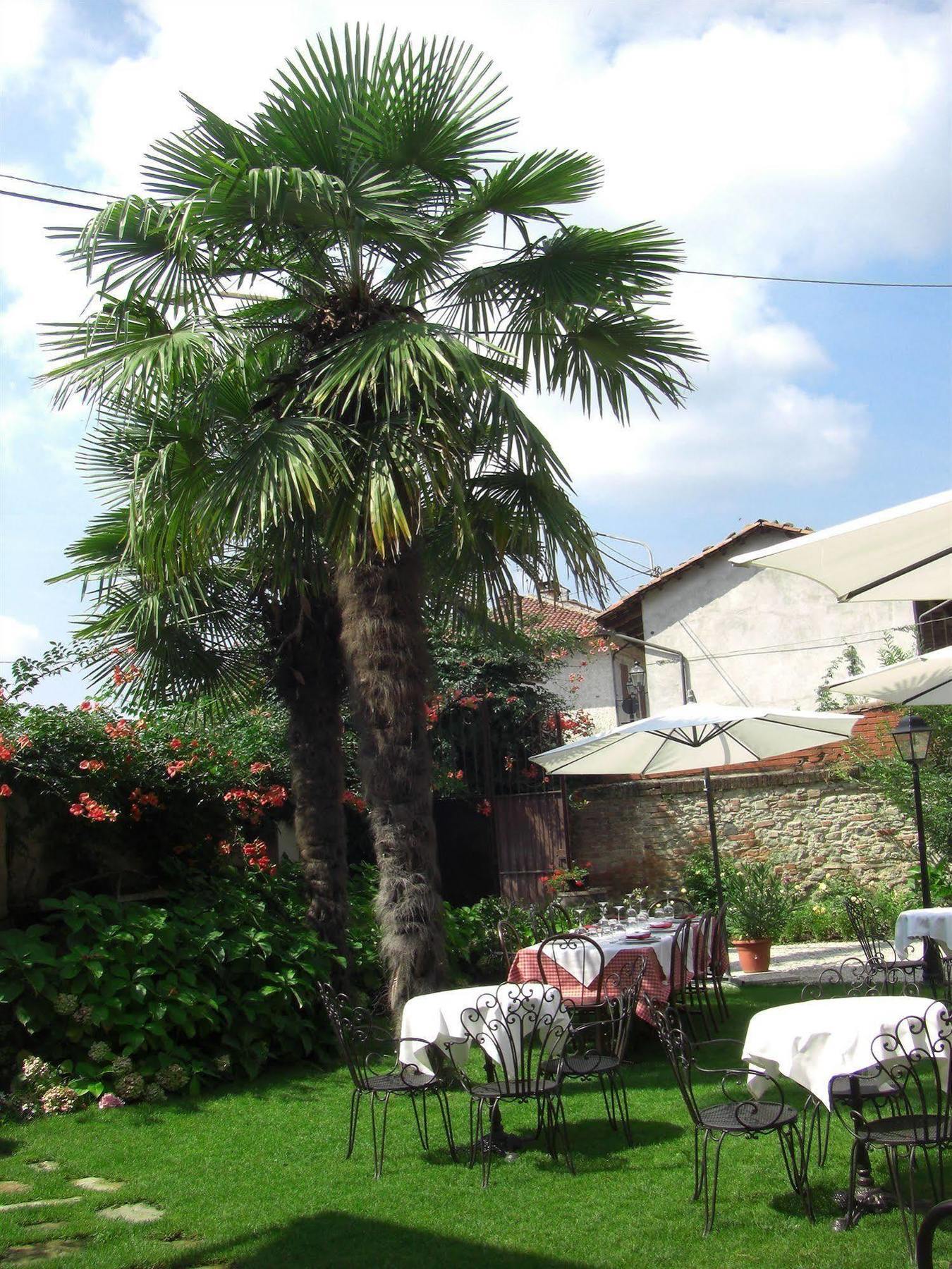 Villa Il Barbio Aramengo Esterno foto